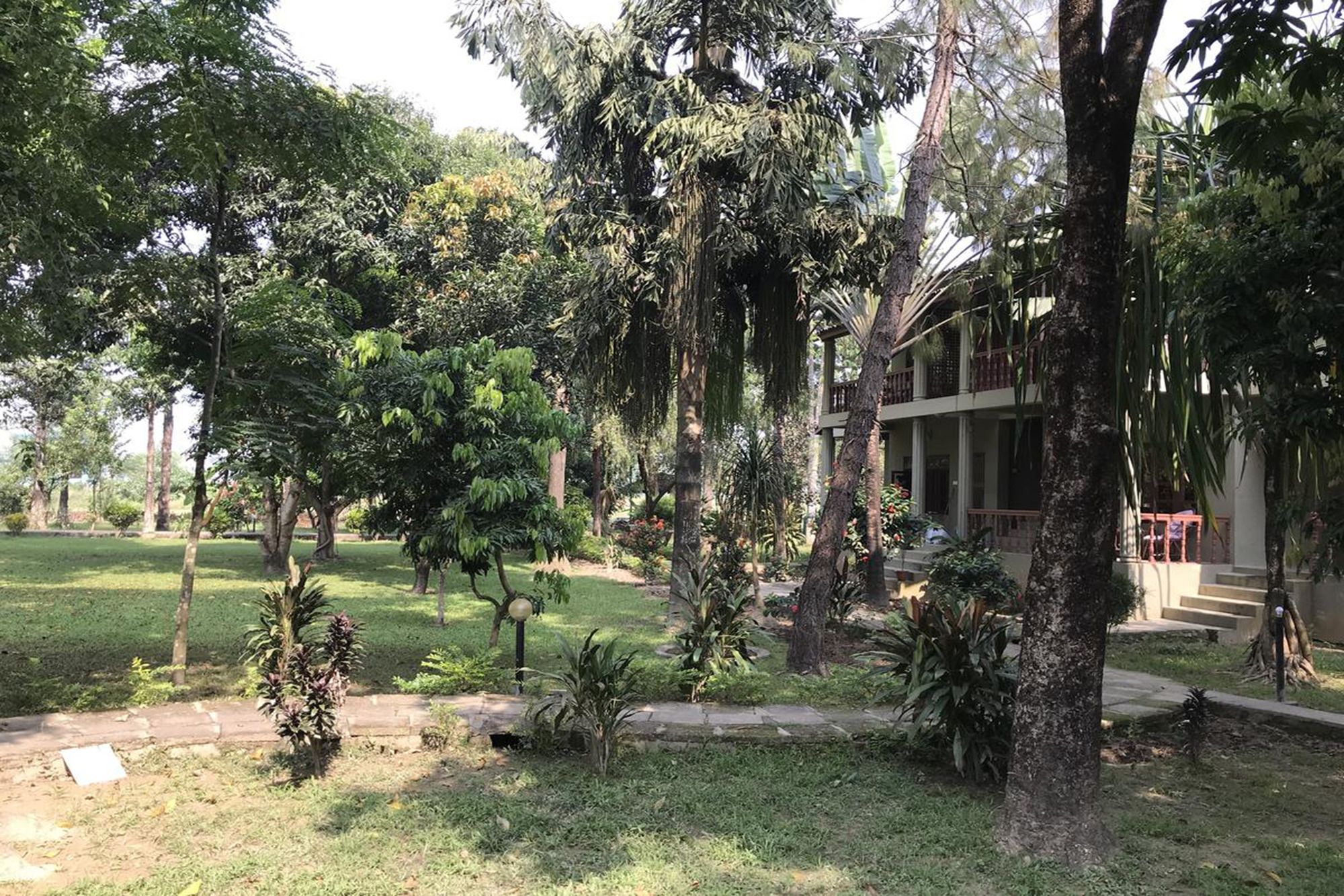 סאורהה Unique Wild Resort מראה חיצוני תמונה